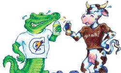 Featured image of post What’s your mooood?